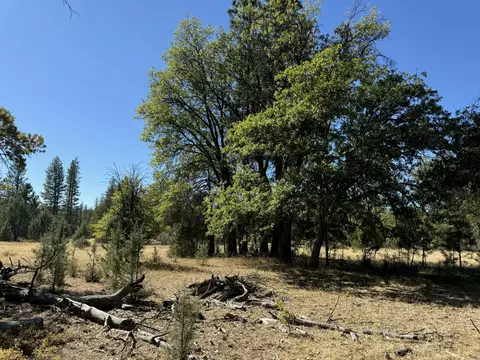 29360 Day Rd, Mcarthur, CA 96056 photo 19