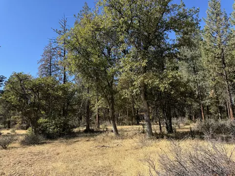 29360 Day Rd, Mcarthur, CA 96056 photo 15