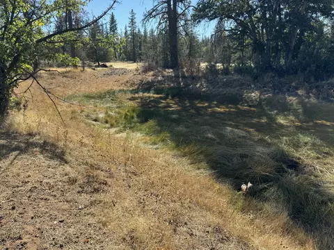 29360 Day Rd, Mcarthur, CA 96056 photo 9