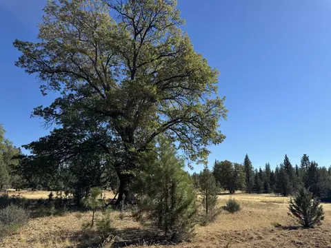 29360 Day Rd, Mcarthur, CA 96056 photo 24