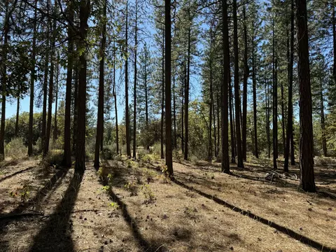 29360 Day Rd, Mcarthur, CA 96056 photo 18