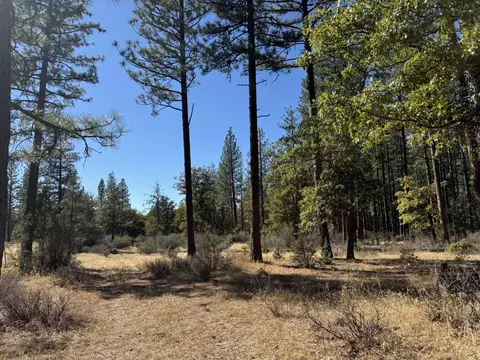 29360 Day Rd, Mcarthur, CA 96056 photo 10