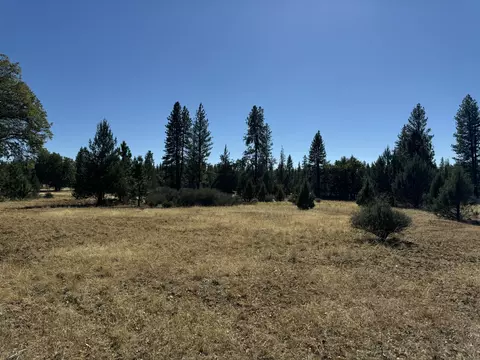 29360 Day Rd, Mcarthur, CA 96056 photo 23