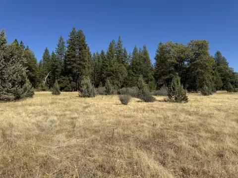 29360 Day Rd, Mcarthur, CA 96056 photo 12