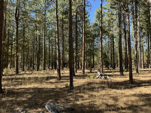 29360 Day Rd, Mcarthur, CA 96056 photo 17
