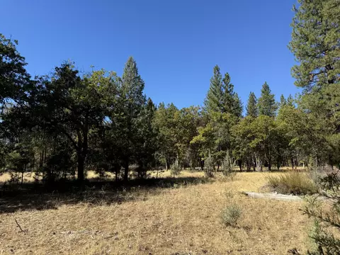 29360 Day Rd, Mcarthur, CA 96056 photo 20