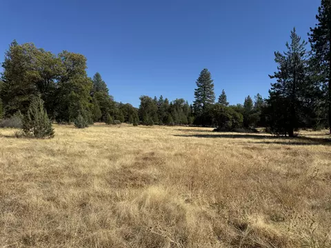 29360 Day Rd, Mcarthur, CA 96056 photo 11
