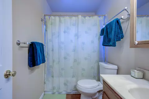 Bath - 20533 Burney Ct, Burney, CA 96013 photo 4 of 4