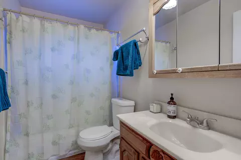 Bath - 20533 Burney Ct, Burney, CA 96013 photo 3 of 4