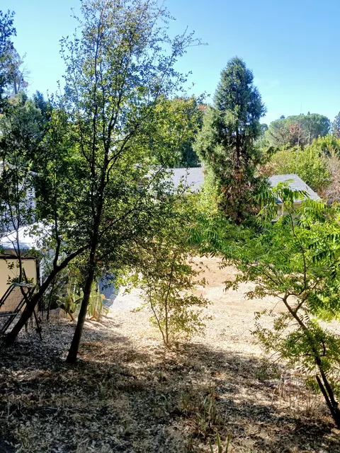 1756 Filaree Dr, Redding, CA 96002 photo 4