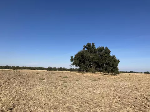 0 Paskenta Rd, Flournoy, CA 96029 photo 4