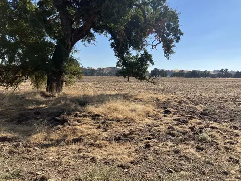 0 Paskenta Rd, Flournoy, CA 96029 photo 8