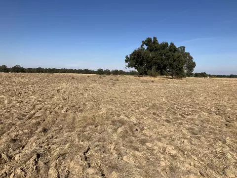 0 Paskenta Rd, Flournoy, CA 96029 photo 9