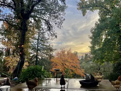 3651 Wasatch Dr, Redding, CA 96001 photo 5
