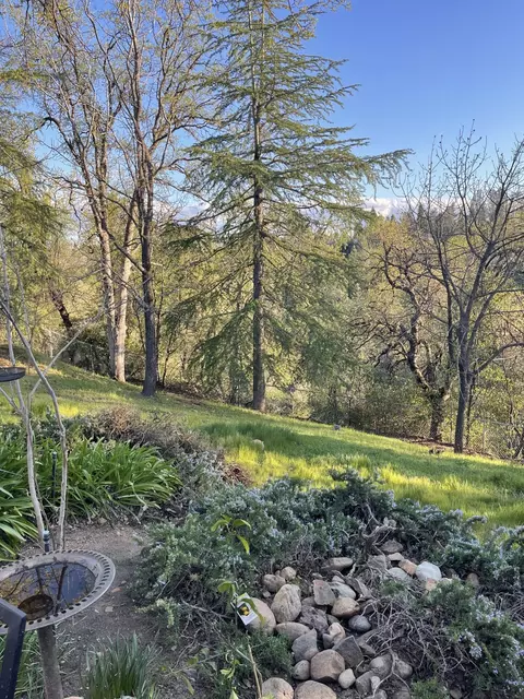 3651 Wasatch Dr, Redding, CA 96001 photo 38