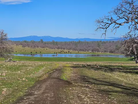 7255 Hyrax Rd, Anderson, CA 96007 photo 61