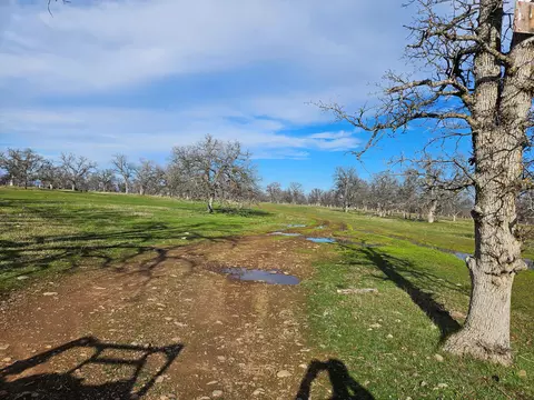 7255 Hyrax Rd, Anderson, CA 96007 photo 38