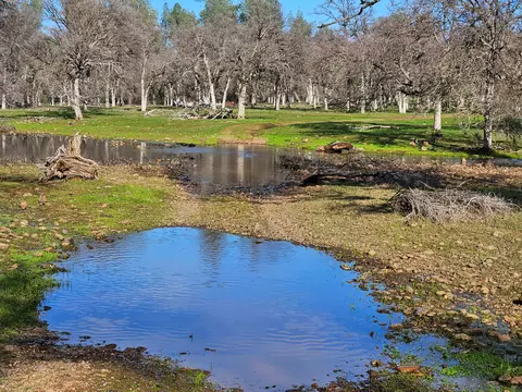 7255 Hyrax Rd, Anderson, CA 96007 photo 70