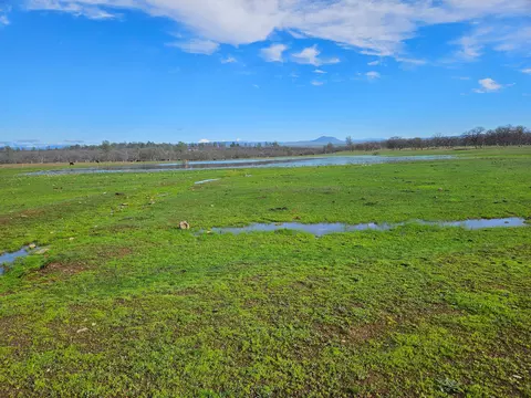 7255 Hyrax Rd, Anderson, CA 96007 photo 59
