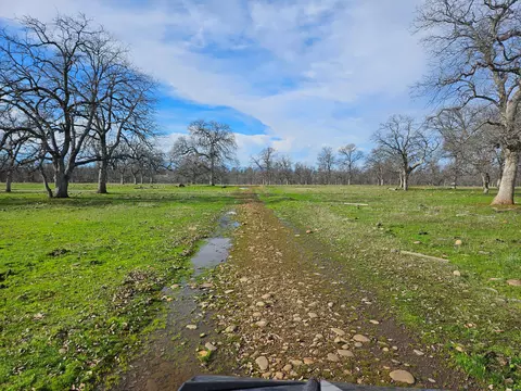 7255 Hyrax Rd, Anderson, CA 96007 photo 64