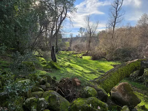 7255 Hyrax Rd, Anderson, CA 96007 photo 26