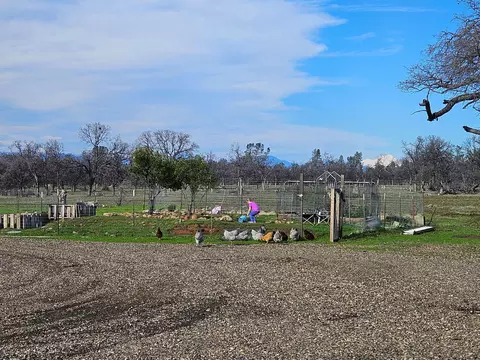 7255 Hyrax Rd, Anderson, CA 96007 photo 28