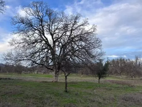 13959 Quarry View Rd, Redding, CA 96003 photo 5