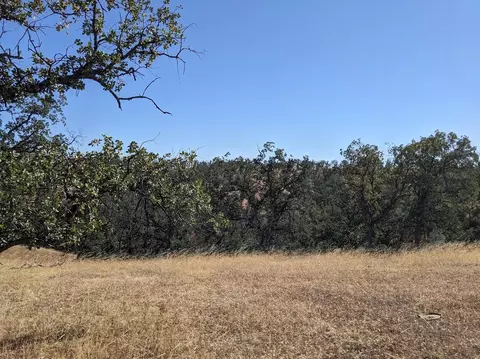 28 Cool Springs Ct, Red Bluff, CA 96080 photo 3