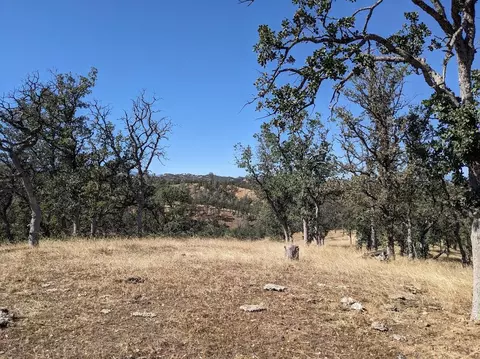 28 Cool Springs Ct, Red Bluff, CA 96080 photo 6