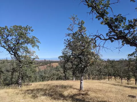 28 Cool Springs Ct, Red Bluff, CA 96080 photo 2