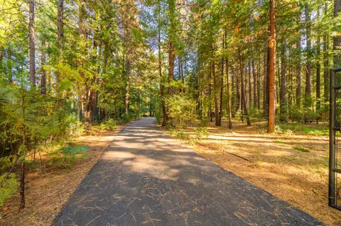 Other - 9331 Thatcher Mill Rd, Shingletown, CA 96088 photo 2 of 8
