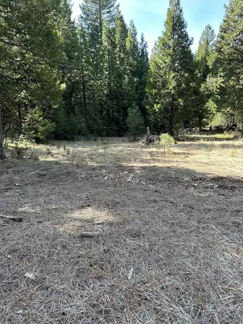 Battle Creek Avenue, Shingletown, CA 96008