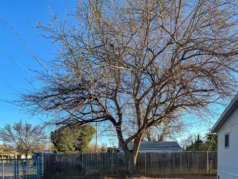 Exterior - 457 2nd St, Willows, CA 95988 photo 5 of 7