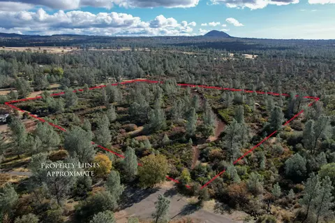 14 94 Acres Colley Ln, Shingletown, CA 96088 photo 8