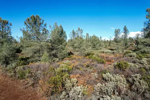 14 94 Acres Colley Ln, Shingletown, CA 96088 photo 9