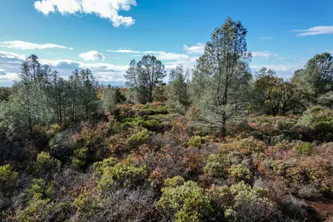 14 94 Acres Colley Ln, Shingletown, CA 96088 photo 4
