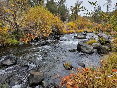 162 Acres Hyrax Rd, Anderson, CA 96007