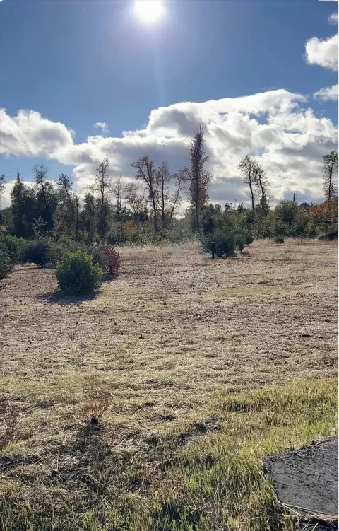 9983 Tilton Mine Rd, Redding, CA 96001