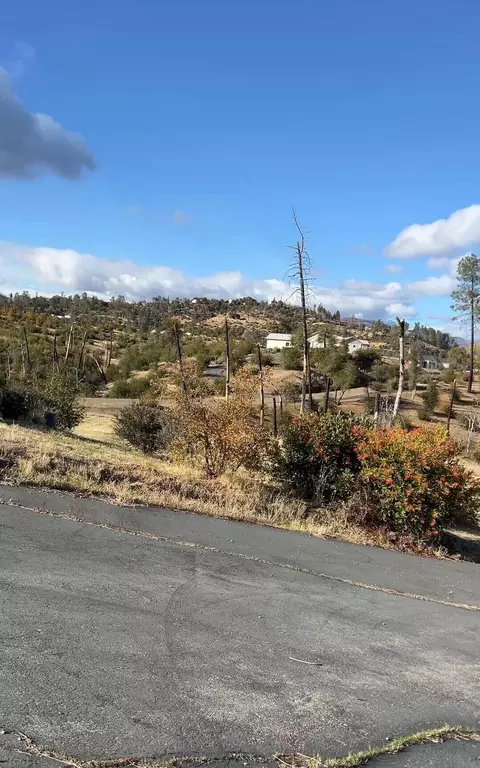 9983 Tilton Mine Rd, Redding, CA 96001 photo 3
