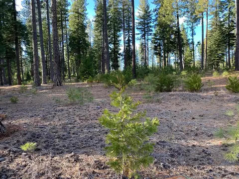 Lot #22 Broomsedge Pl, Shingletown, CA 96088