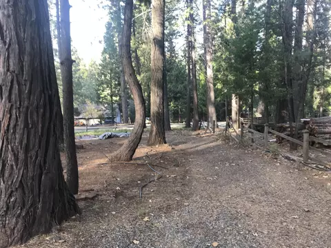 30641 Thumper Dr, Shingletown, CA 96088 photo 52