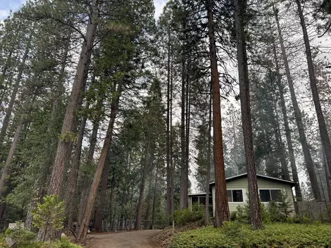 30641 Thumper Dr, Shingletown, CA 96088 photo 39
