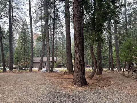30641 Thumper Dr, Shingletown, CA 96088 photo 48