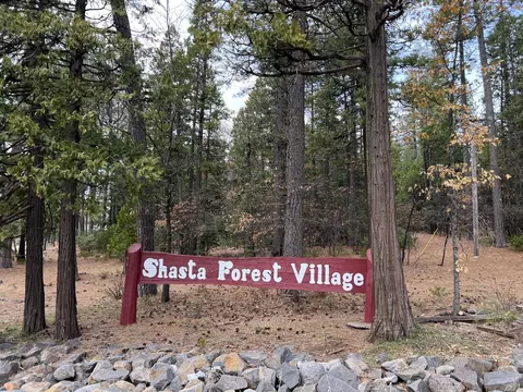 30641 Thumper Dr, Shingletown, CA 96088 photo 54