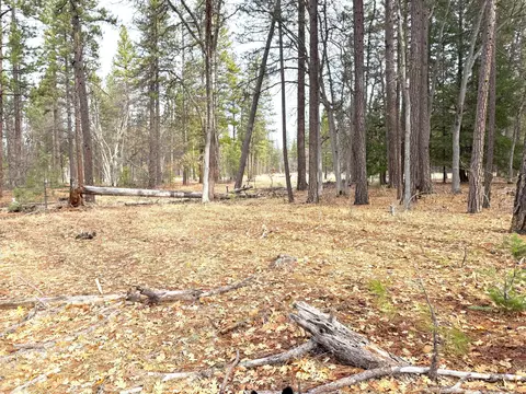 Vanishing Pines Road, Fall River Mills, CA 96028