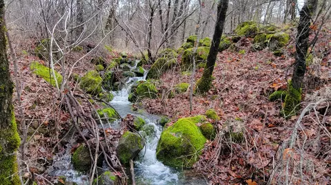 000 Old Stage Rd, Oak Run, CA 96069