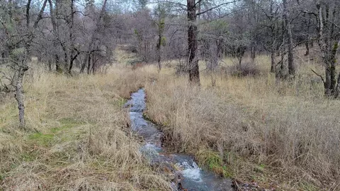 000 Old Stage Rd, Oak Run, CA 96069 photo 31