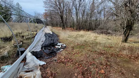 000 Old Stage Rd, Oak Run, CA 96069 photo 15