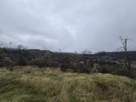 10657 Shurtleff, Shasta, CA 96087 photo 6