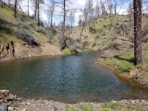 Vestal, Red Bluff, CA 96080